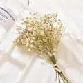 Un bouquet de mini fleurs séchées naturelles décor de fond de souffle de bébé bouquet de photos