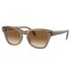 Ray-Ban RB0707SF Sunglasses Transparent Light Brown Frame Clear Gradient Brown Lens Asian Fit 53 RB0707SF-664051-53