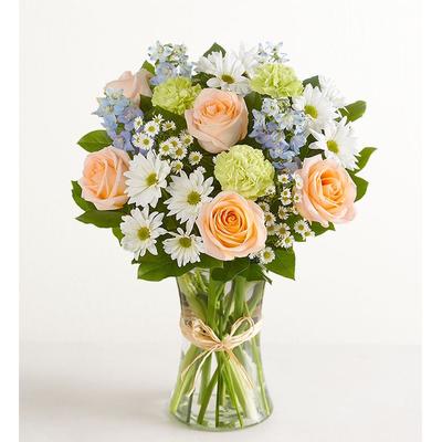 1-800-Flowers Seasonal Gift Delivery Summer Dunes Large