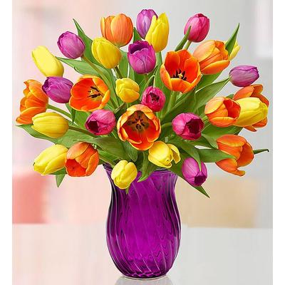 1-800-Flowers Flower Delivery Assorted Tulip Bouquet + Free Vase 30 Stems W/ Purple Vase