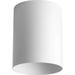 Progress Lighting Cylinder 1 Light Flush Mount Outdoor Ceiling Fixture