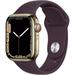 Restored Apple Watch Series 7 GPS+LTE w/ 41MM Gold Stainless Steel Case Dark Cherry Band (Refurbished)