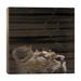 Loon Peak® Lion in Black & White II by Lukas Holas - Unframed Graphic Art on Wood in Black/Brown/Gray | 26 H x 26 W x 1.5 D in | Wayfair