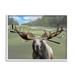 Stupell Industries Funny Golf Clubs Moose Antlers Gray Framed Giclee Art By Elizabeth Medley Wood in Brown/Green | 16 H x 20 W x 1.5 D in | Wayfair