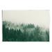 Stupell Industries Misty Trees Woodland Forest Floater Canvas Wall Art By Lynann Colligan Wood in Brown | 13 H x 19 W x 0.5 D in | Wayfair