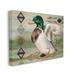 Stupell Industries Patterned Rustic Mallard Duck Floater Canvas Wall Art By ND Art Canvas in Brown/Gray/Green | 24 H x 30 W x 1.5 D in | Wayfair