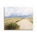 Stupell Industries Coastal Sandy Path Cloudy Sky Floater Canvas Wall Art By Kim Curinga Canvas in White | 36 H x 48 W x 1.5 D in | Wayfair