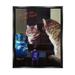 Stupell Industries You Are The Cat's Meow Animal Mirror Floater Canvas Wall Art By Lucia Heffernan Canvas | 21 H x 17 W x 1.7 D in | Wayfair