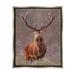 Stupell Industries Elk Portrait Forest Grove Floater Canvas Wall Art By Pip Wilson in Brown | 31 H x 25 W x 1.7 D in | Wayfair au-160_ffl_24x30