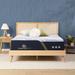 King Medium 15.75" Memory Foam Mattress - Serta iComfortECO F40HD | 79.5 H x 76 W 15.75 D in Wayfair 500805318-1060