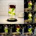 Hesroicy LED Artificial Eternal Rose with Glass Cover - Home Decor and Ideal Gift for Christmas Mother s Day and Valentine s Day