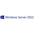 Microsoft Windows Server 2022 Client Access License (CAL)