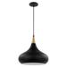 Nuvo Lighting 67514 - 1 Lamp 14" 120 volt Matte Black/Burnished Brass Indoor Pendant Light Fixture (PHOENIX 1 LIGHT MEDIUM PENDANT BLK/BRS (60-7514))