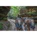 Millwood Pines Horse by Jacob Boomsma - Wrapped Canvas Photograph Canvas in White | 24 H x 36 W x 1.25 D in | Wayfair