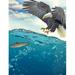 Eagle Fishing in the Lake College Rule Composition Notebook (Paperback)