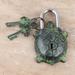 Bungalow Rose Felicea Handmade Turtles Treasure Brass Padlock & Key Set | 5 H x 2.9 W x 1.4 D in | Wayfair 0608505408324AB1B5AB7BF58121B0EA