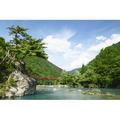 Millwood Pines Ravine Dakikaeri in Akita by Yankane - Wrapped Canvas Photograph Canvas in Blue/Gray/Green | 20 H x 30 W x 1.25 D in | Wayfair