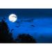 Ebern Designs Mystic Halloween Background by Winyuu - Wrapped Canvas Photograph Canvas in Blue | 8 H x 12 W x 1.25 D in | Wayfair