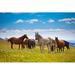 Millwood Pines Horses on Mountain Peak - Wrapped Canvas Photograph Canvas in Blue/Brown | 8 H x 12 W x 1.25 D in | Wayfair