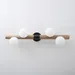 hollis+morris Willow Wall Sconce - WILOwall Blk W.Oak Natural