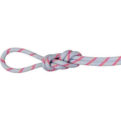 MAMMUT 8.0 Alpine Dry Rope, Größe 70 in Dry Standard, zen-pink