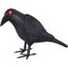 18" Black and Red Animated Crow Halloween Prop