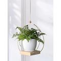 ABETREE Hanging Planter for Indoor and Outdoor Plants Macrame Plant Hanger Holder Metal Modern Wall and Ceiling Planter for Bedroom Kitchen Window Home Decor ,Golden (Planter/ Plants Not Included)