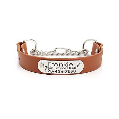 Mimi Green Waterproof Leather Martingale Dog Collar with Personalized ID Tag, Mesa, Medium