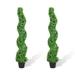 Primrue Artificial Potted Green Boxwood Spiral Tree Plastic | 48 H x 12 W x 12 D in | Wayfair C291FCE8B3034C08BA70457E806D78A0
