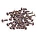 Guitar Bass Pickguard Mounting Screws Scratch Plate Screws for ST SQ Accessory Copper 3x12mm