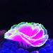 Holzlrgus 1pc of Glowing Effect Artificial Coral Aquarium Coral Decor Coral Ornaments Plant Ornaments for Fish Tank Aquarium Decoration Flower Shape 2 7/10 x 3 9/10 (Purple)