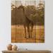 DESIGN ART Designart African Giraffe In The Wild II Farmhouse Print on Natural Pine Wood 10 in. wide x 20 in. high