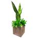 Primrue 4 - Piece Artificial Agave Succulent in Planter Set Plastic | 21 H x 11 W x 11 D in | Wayfair 602A4DF5026B45369DDC6A45D6DDF2ED