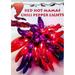 Chili pepper string lights - LED 50 lights - HOT MAMA Style - RED - PURPLE - made in AMERICA - Free Ship