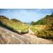 Highland Dunes Lake Michigan Coastal Dune Path - Wrapped Canvas Print Canvas in Green | 8 H x 12 W x 1.25 D in | Wayfair
