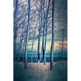 Winston Porter Winter at Lake Michigan - Wrapped Canvas Print Canvas in Blue | 12 H x 8 W x 1.25 D in | Wayfair 9B780251CCC24D7E9BAF743F25D26622