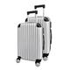 Panana 20/24" Modern Design Hard Shell Cabin ABS Suitcase 4 Wheel Luggage Trolley Case Lightweight (Style2-Silver, 2PCS(20"+24"))