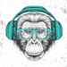 Trinx Hipster Monkey w/ Headphones by - Wrapped Canvas Graphic Art Canvas in Black | 30 H x 30 W x 1.25 D in | Wayfair