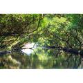 Millwood Pines Helmscott Four Grass Tunnel - Wrapped Canvas Photograph Canvas in Green | 8 H x 12 W x 1.25 D in | Wayfair