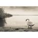 Gracie Oaks Drusilla Gloomy Swan Lake - Wrapped Canvas Photograph Metal in Black/Gray/White | 32 H x 48 W x 1.25 D in | Wayfair