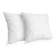 Lot de 2 oreillers 60x60 Duvet & Plumes Mi-ferme