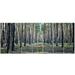 Design Art Forest Road in Thick Woods 7 Piece Photographic Print on Wrapped Canvas Set