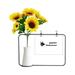 dog happy fear halloween artificial sunflower vases bottle blessing card
