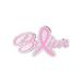PinMart s Believe Pink Breast Cancer Awareness Ribbon Enamel Lapel Pin