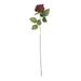 Farfi Imitation Rose Not Withered Fine Workmanship Realistic Easy Care Non-fading Ornament Multicolor Fabric Texture Simulation Rose for Home (Wine Red)