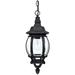 Capital Lighting Fixture Company French Country 18 Inch Tall Outdoor Hanging Lantern - 9868BK