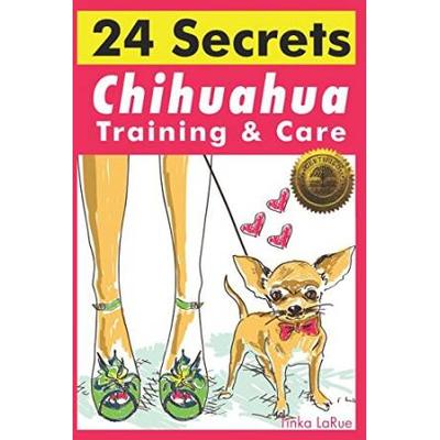 Chihuahua Training & Care: 24 Secrets