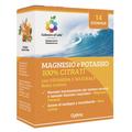 Magnesio Potassio Vit C 14 Stick