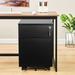 2 Drawer Mobile File Cabinet with Lock Metal Filing Cabinet for Legal/Letter/A4, Fully Assembled, Home/Office Design