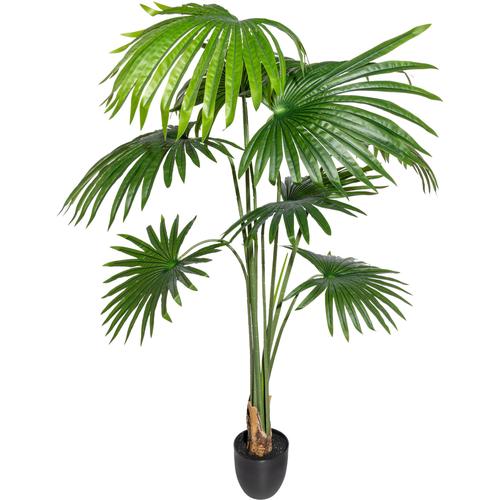 "Kunstbaum CREATIV GREEN ""Colocasia"" Kunstpflanzen Gr. Ø/H: 130 cm x 150 cm, 1 St., grün Kunst-Bäume im Topf"